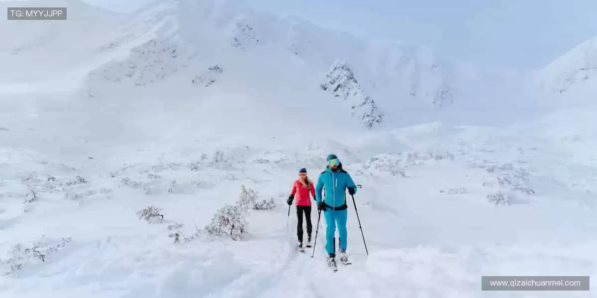 🎮 互动直播,弹幕狂欢,和百万球迷一起嗨翻全场!